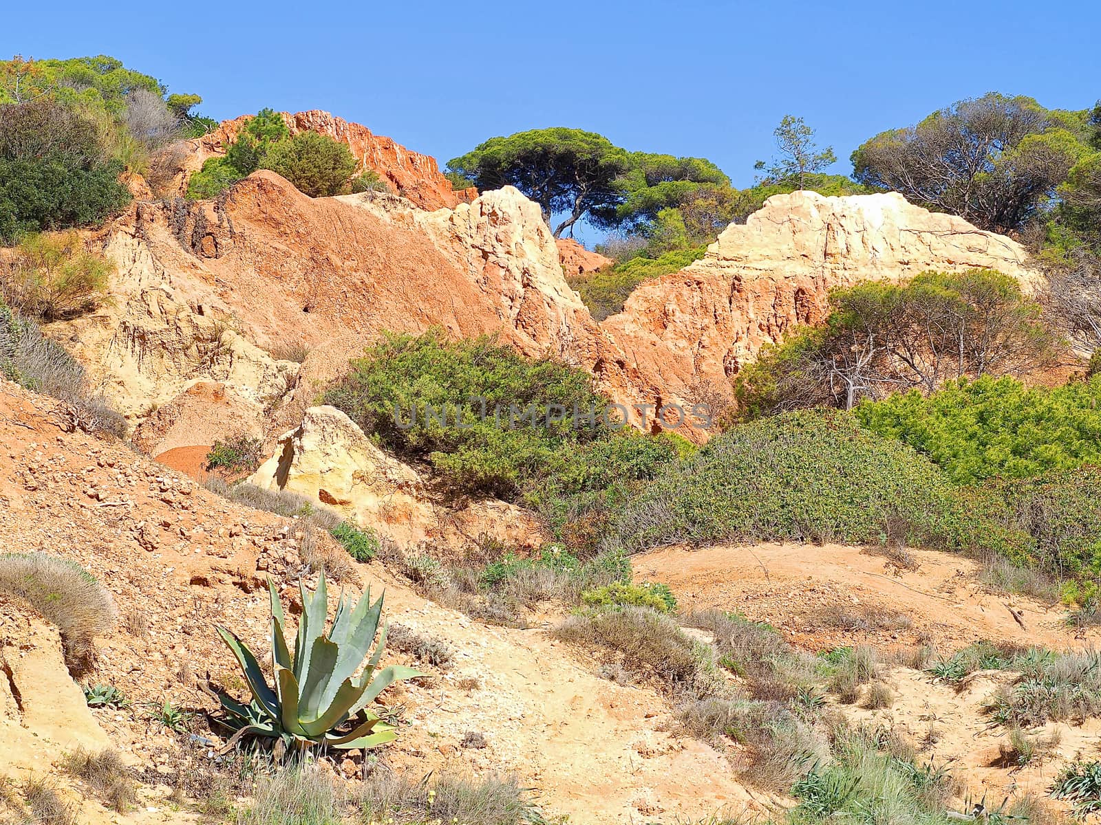 Wild nature with red cliffs at the Algarve coast of Portugal