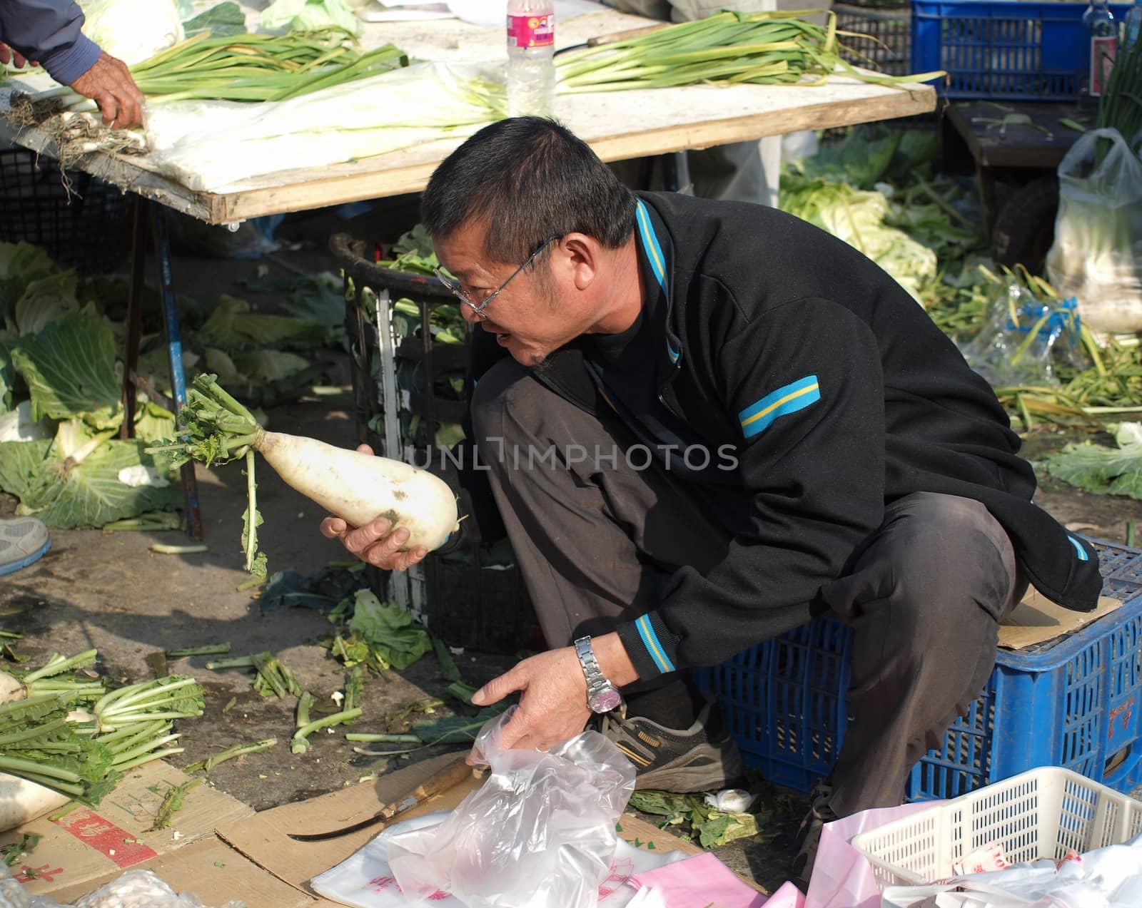 Choosing White Radishes by shiyali