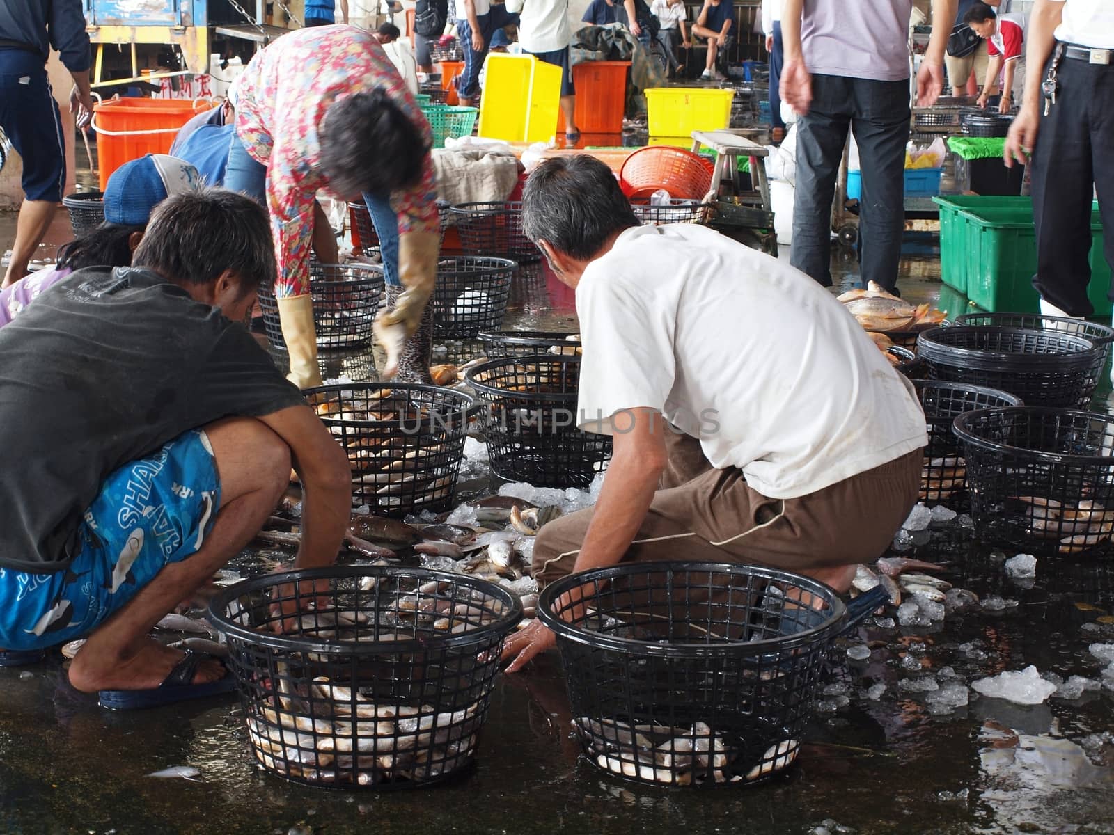 SINDA, TAIWAN -- SEPTEMBER 3: Potential buyers inspect fish at the daily fish auction at Sinda Port in southern Taiwan, on September 3, 2013 in Sinda.
