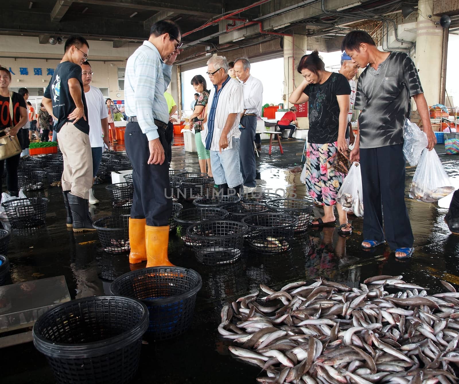 Fish Auction at a Local Fishing Port in Taiwan by shiyali