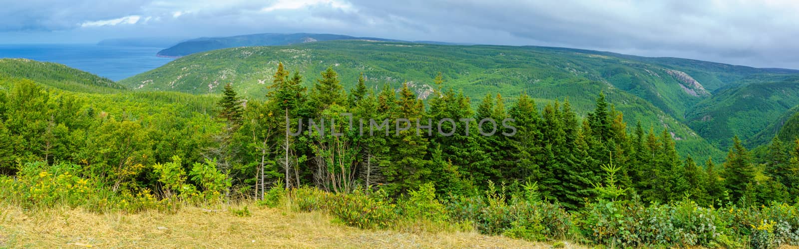 Panoramic landscape (near Pleasant Bay), in Cape Breton Highlands National Park, Nova Scotia, Canada