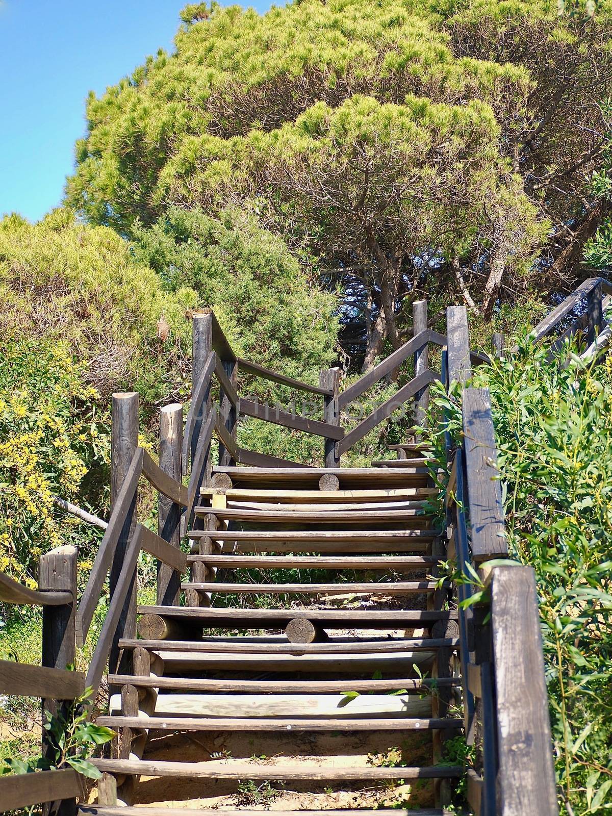 Wooden stair, footpath into the wild Algarve nature in Portugal