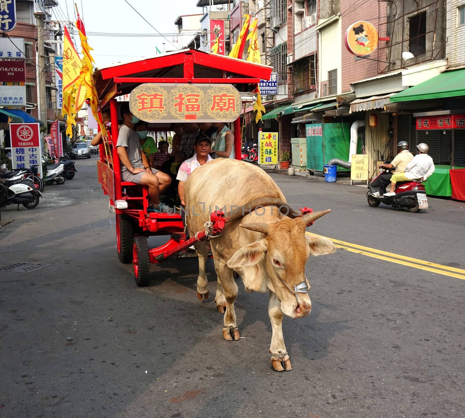 KAOHSIUNG, TAIWAN -- OCTOBER 17, 2015: A traditional ox cart transports tourists during the yearly Wannian Festival.