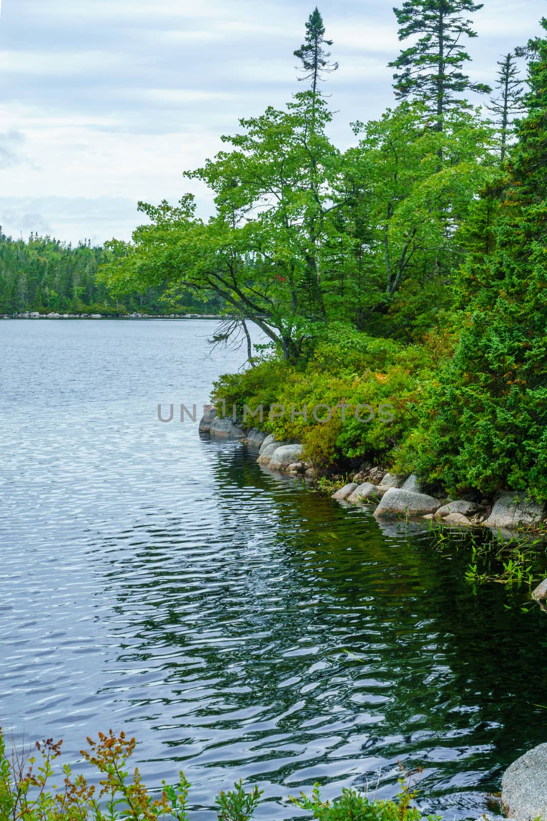 View of the Awalt Lake, in Nova Scotia, Canada