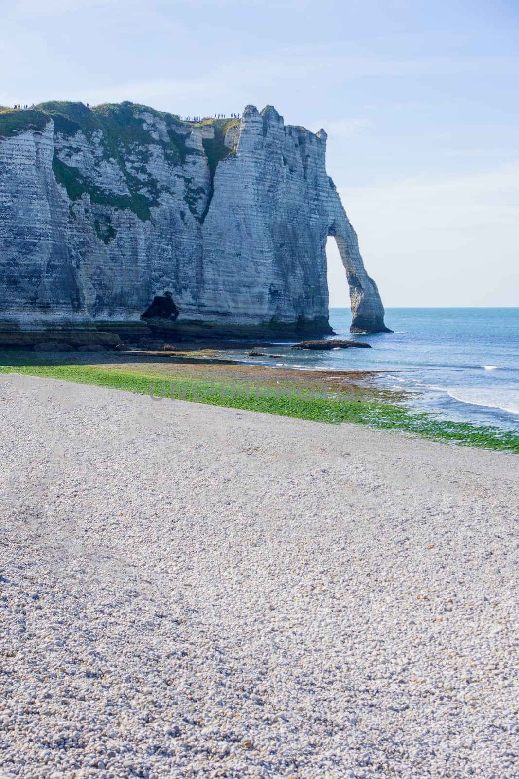 Shore and cliffs in Fecamp, Haute-Normandie, France