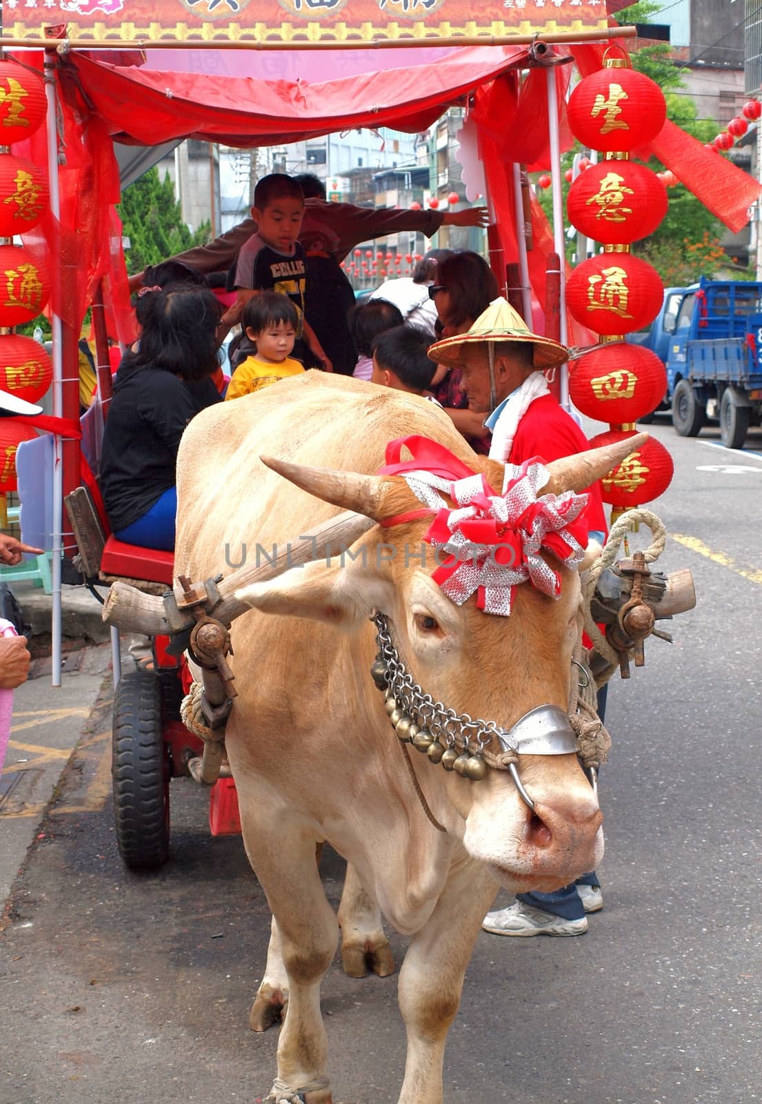 KAOHSIUNG, TAIWAN -- OCTOBER 13: A traditional Taiwanese ox cart is a special attraction at the yearly Wannian Folklore Festival on October 13, 2013 in Kaohsiung.