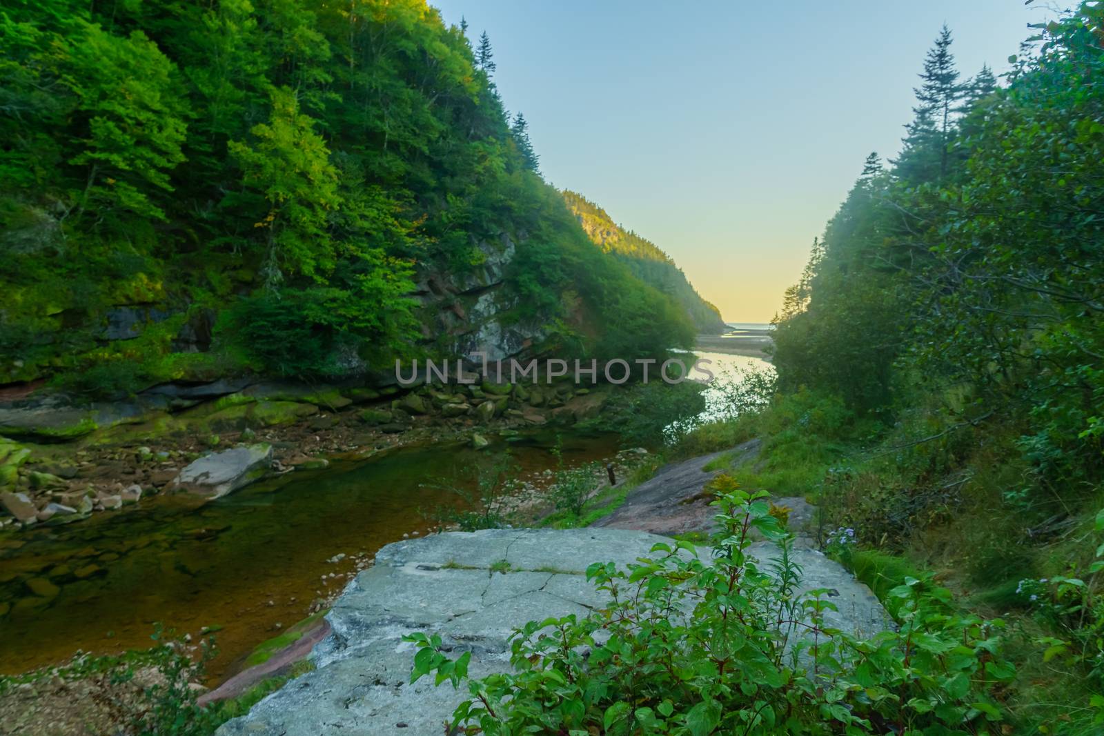 Point Wolfe, in Fundy National Park by RnDmS