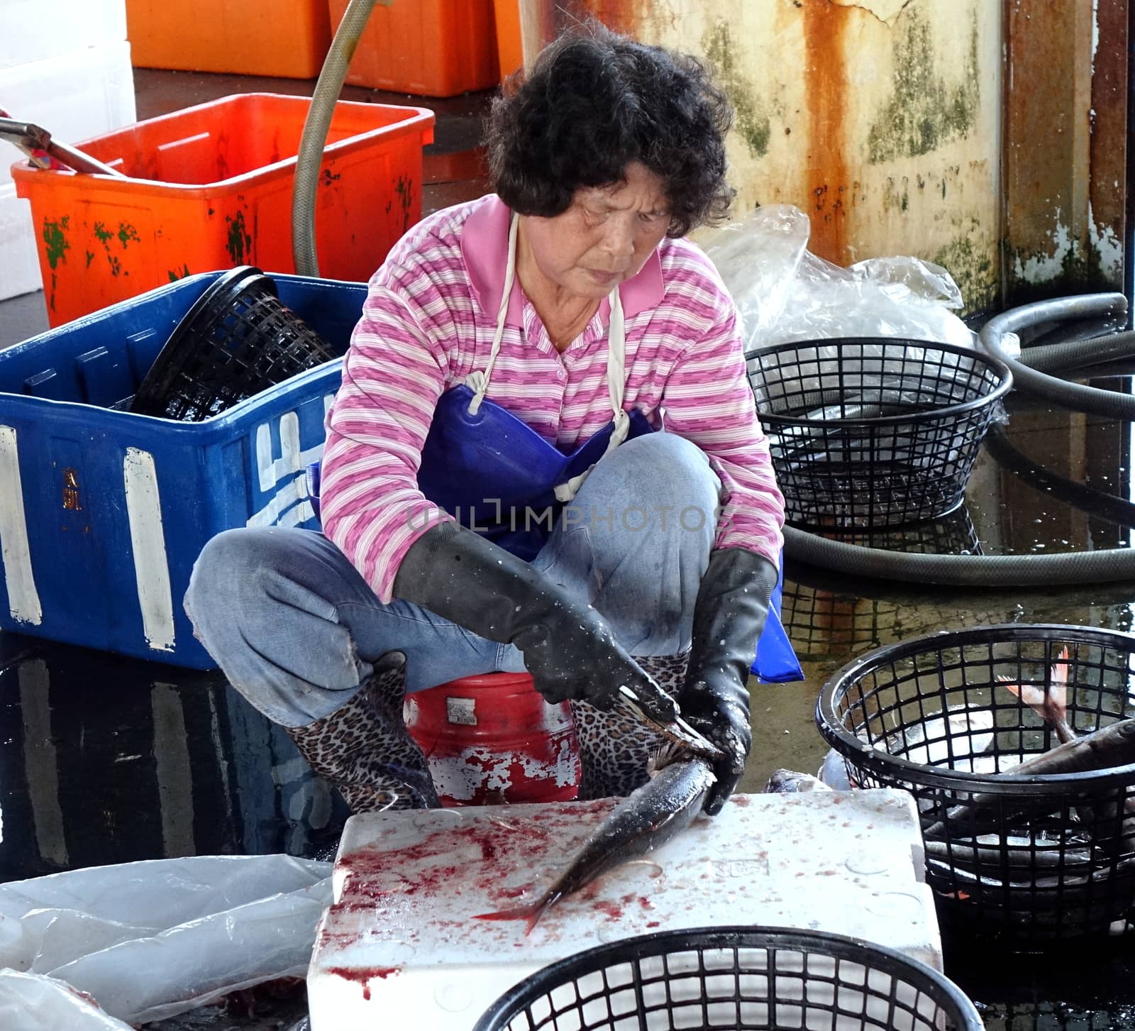 KAOHSIUNG, TAIWAN -- MARCH 30, 2017: A worker at the Xinda fish market cleans freshly caught fish for customers.
