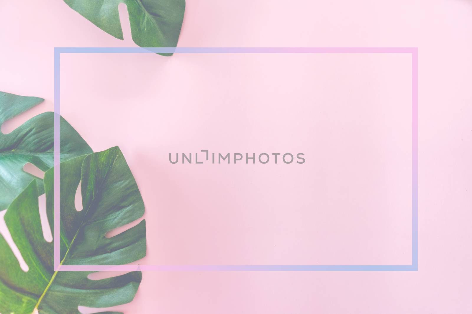 Top view of green nature tropical leaf on fade pink pastel vintage style tone abstract background with copy space.