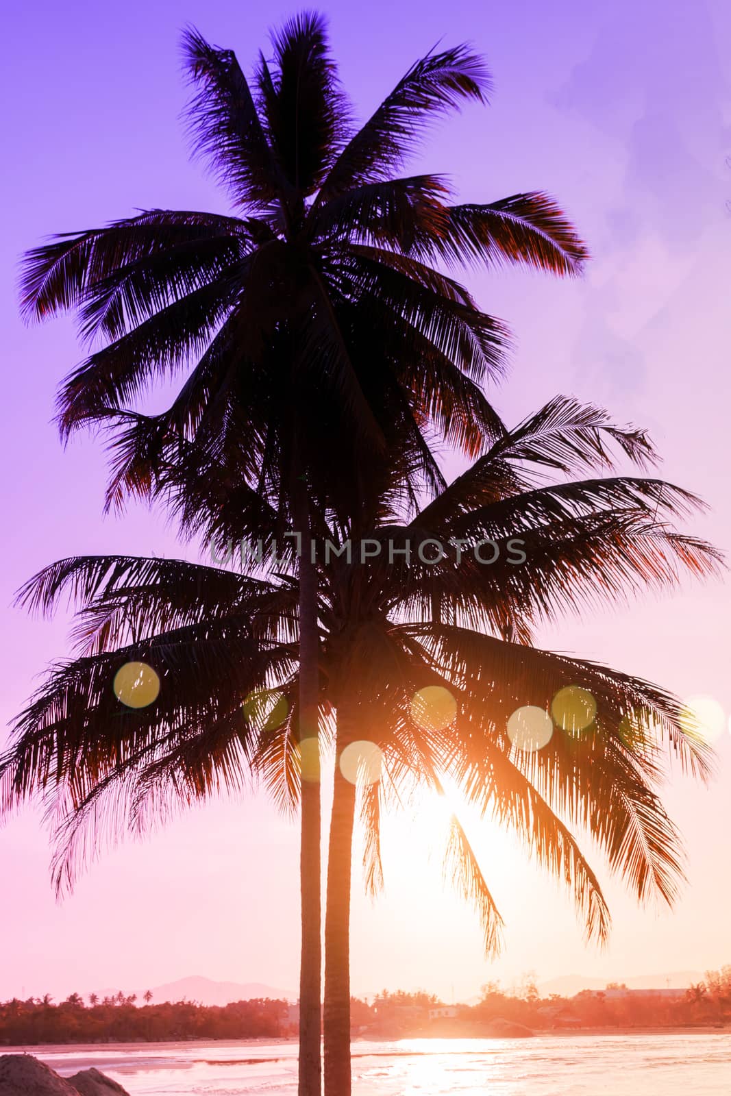 Tropical nature clean beach and white sand in summer with palm tree leaf sun light blue sky and bokeh abstract  background.