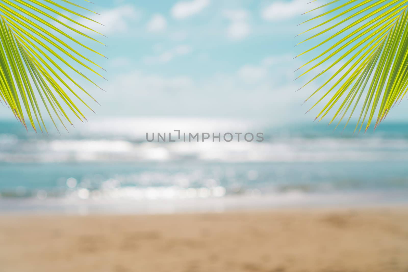 Tropical nature clean beach and white sand in summer with palm tree leaf sun light blue sky and bokeh abstract  background.