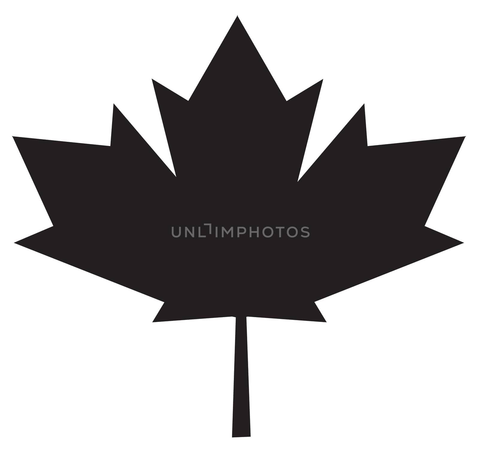 maple leaf icon on white background. maple leaf sign. by suthee