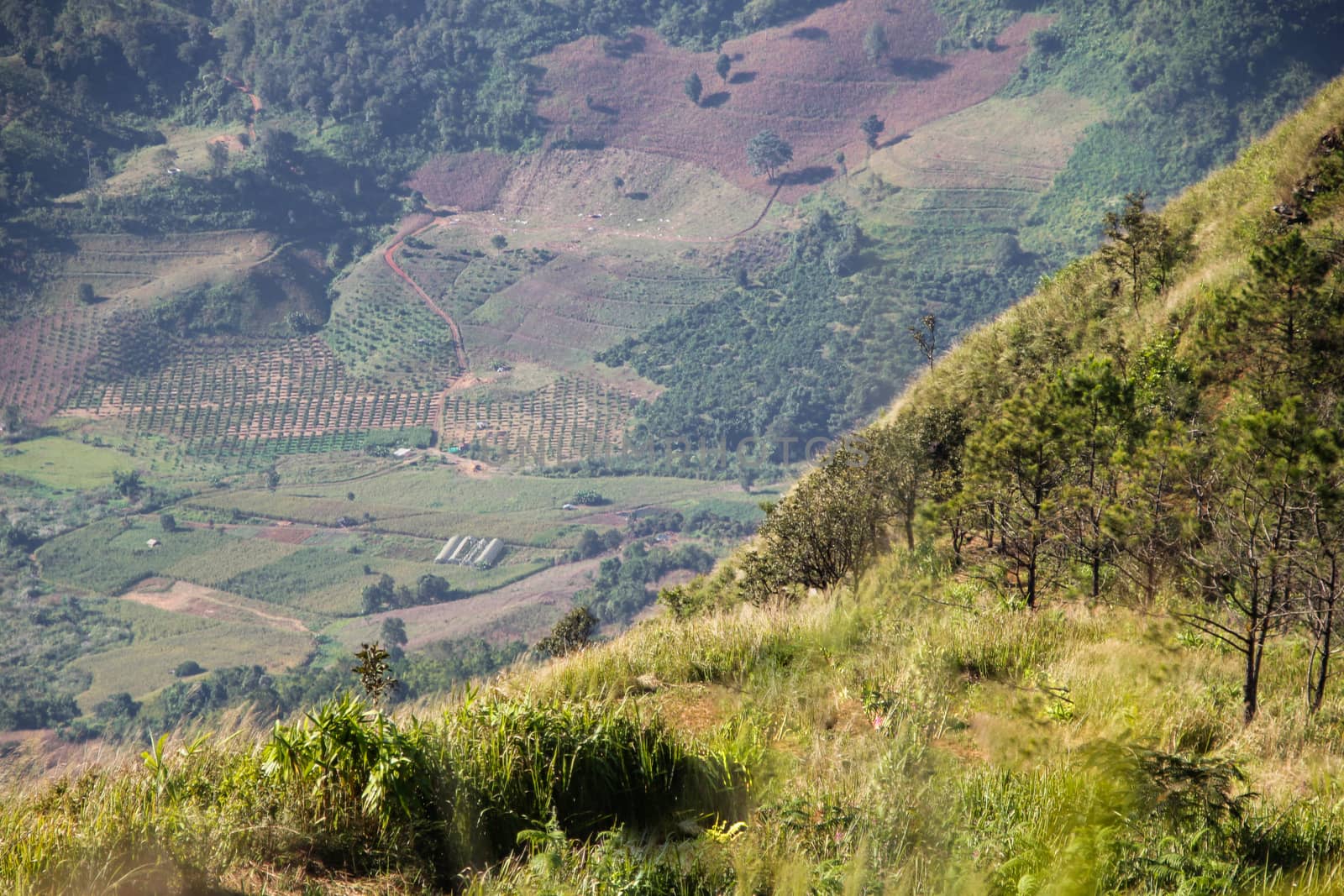 Views of the mountains with colorful sky. by suthipong