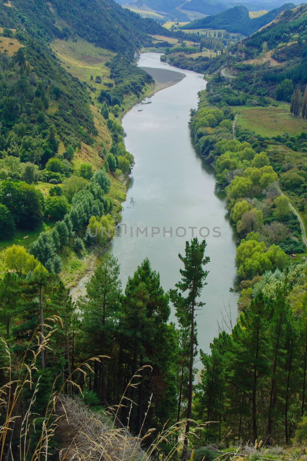 Whanganui River, North Island, New Zealand