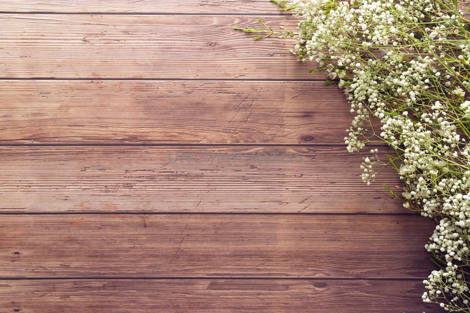 flat lay of garden spring white tiny flowers on wooden plank table background with copy space, retro color style