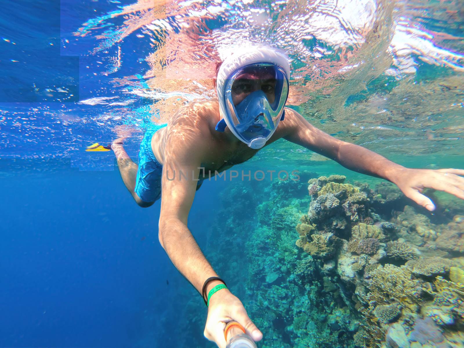 Snorkel swim in shallow water with coral fish, Red Sea, Egypt by artush