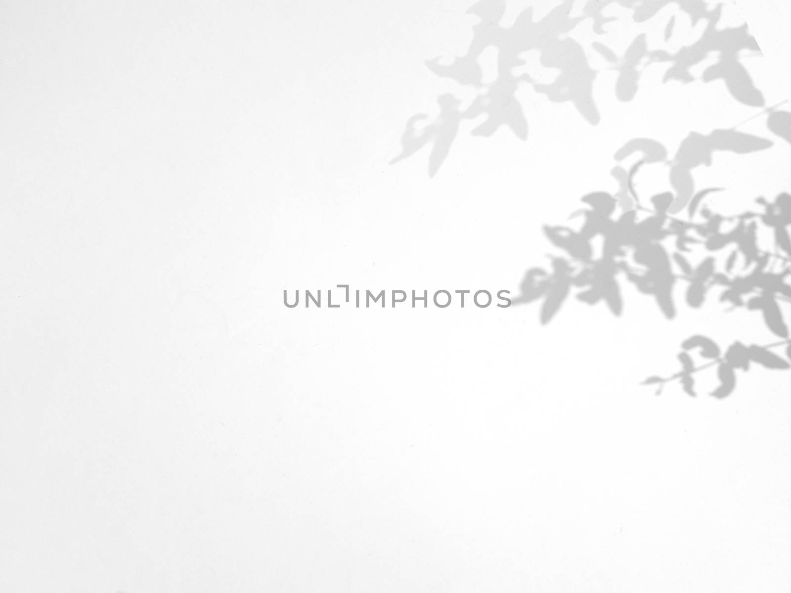 Leaves natural shadow overlay on white texture background, for o by nuchylee