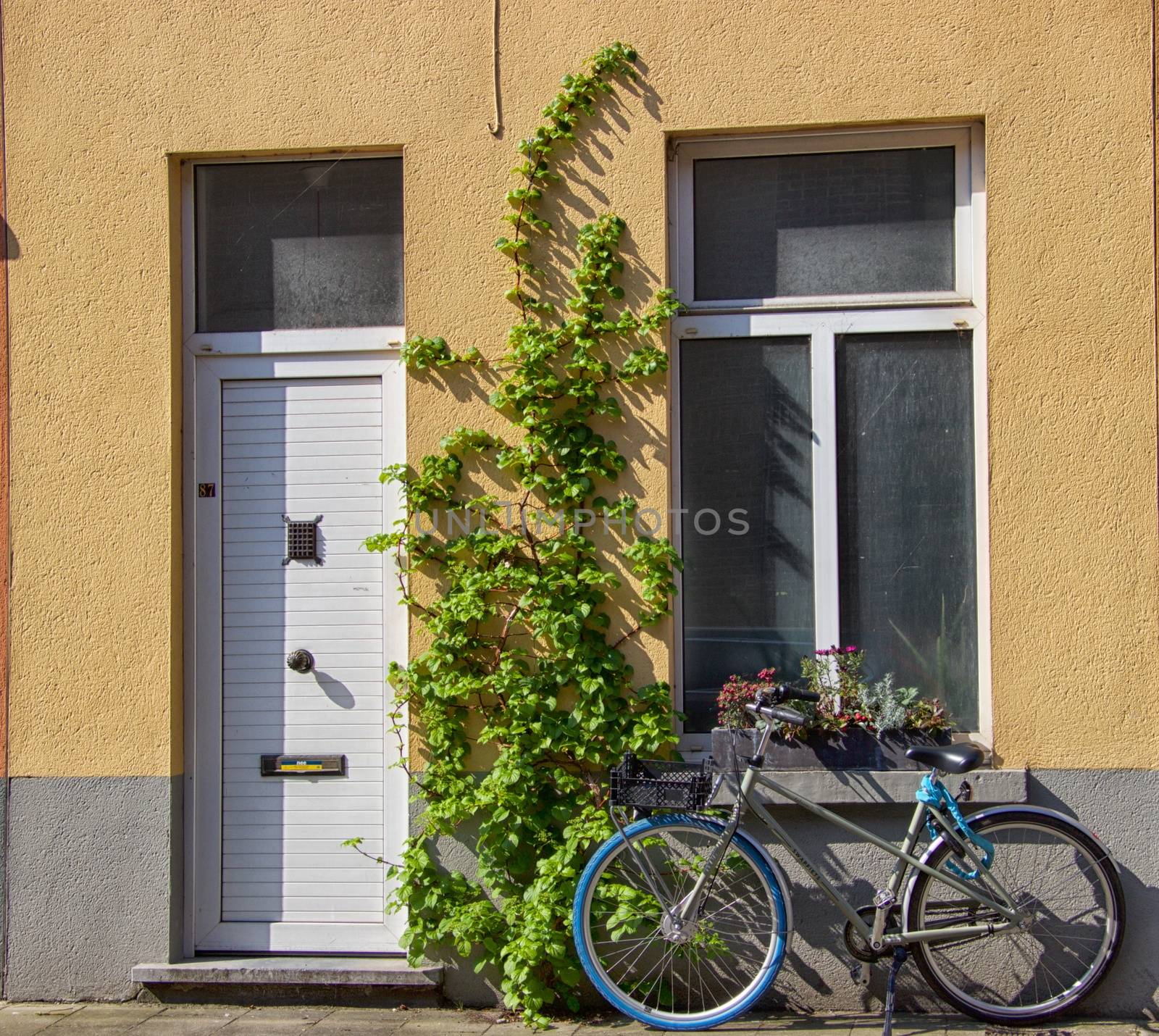 White front door and window