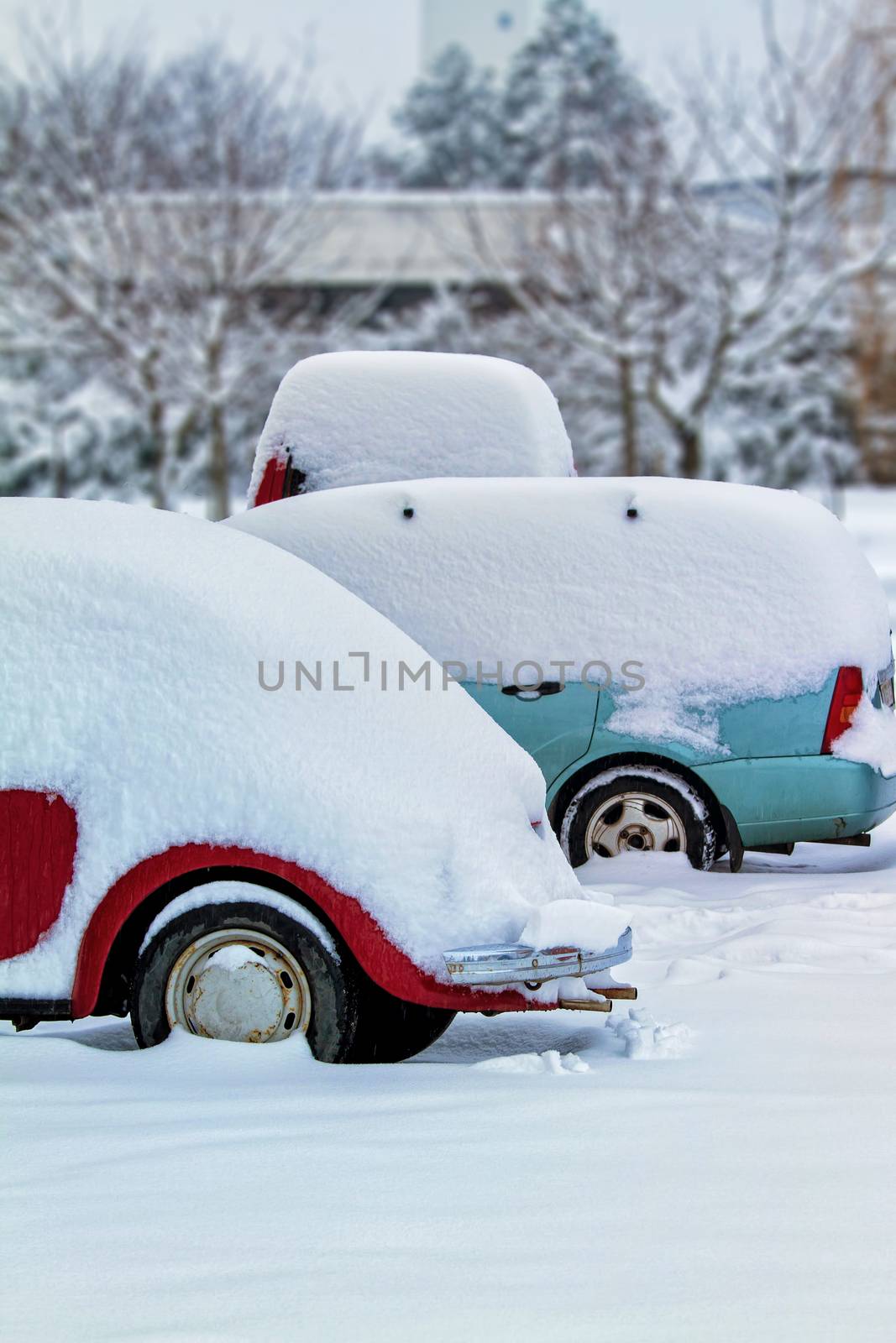 Snow-covered cars in the yard