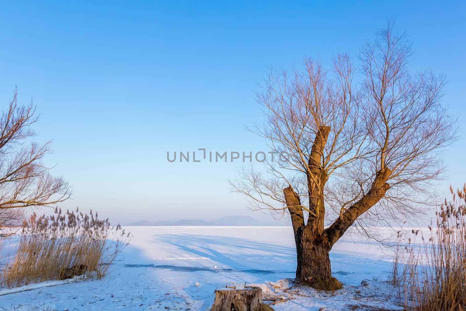 Beautiful winter landscape from lake Balaton of Hungary by Digoarpi