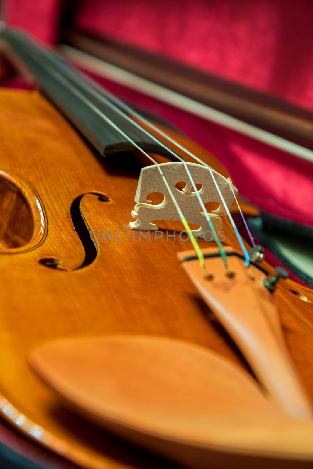Detail of a beautiful violin