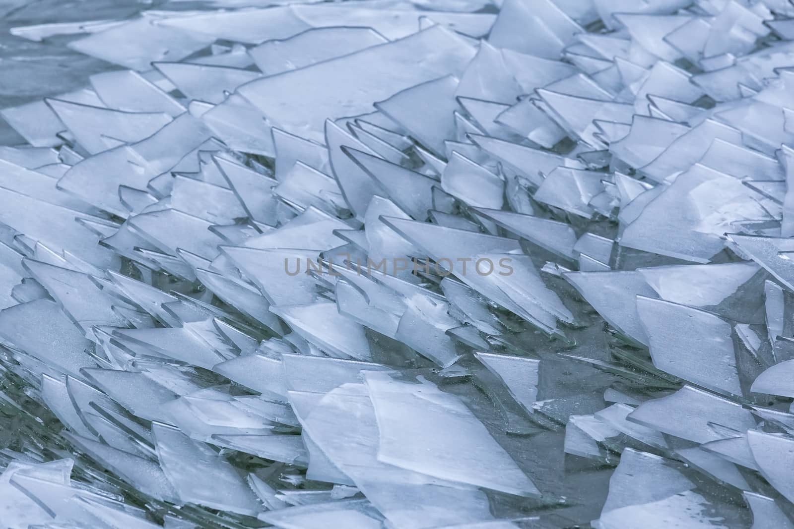 Blocks of ice on the lake Balaton of Hungary
