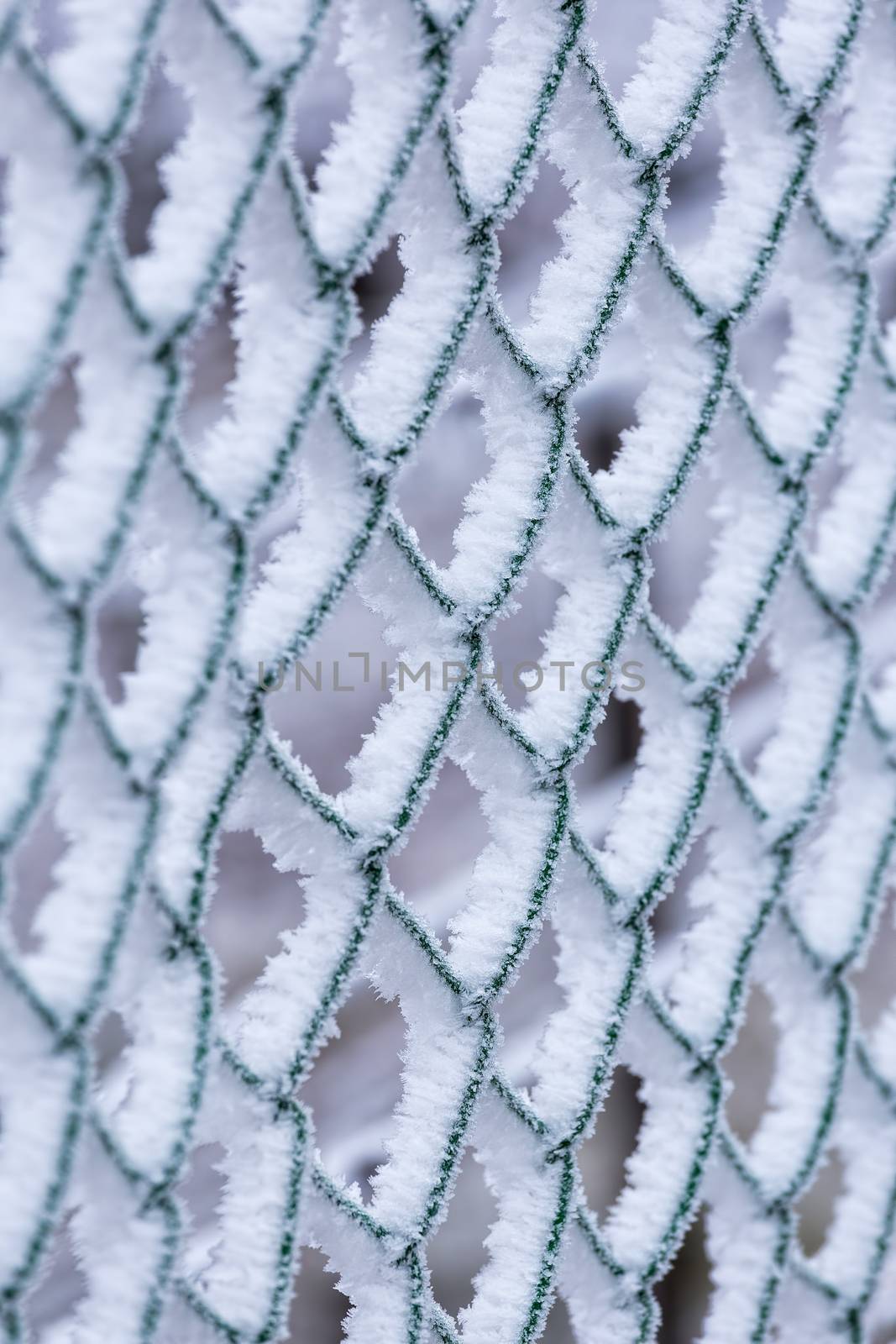 Frozen fence on a cold winter day
