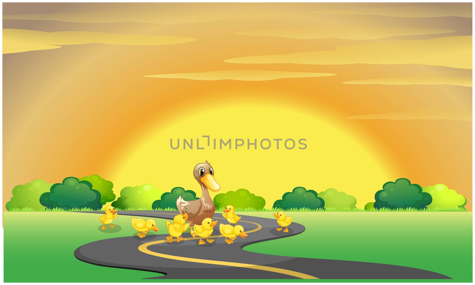 mother duck with her babies playing on the road by aanavcreationsplus