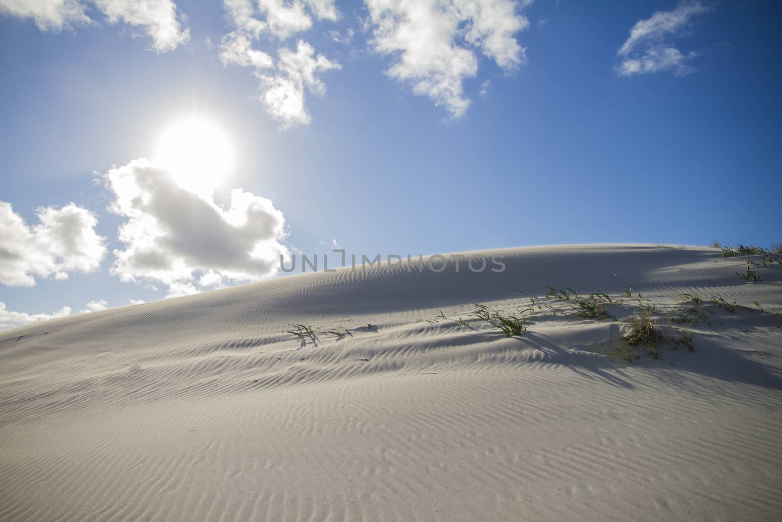 Shadow play on a sand dune with backlight effect and the sun shining in the blue sky with white clouds
