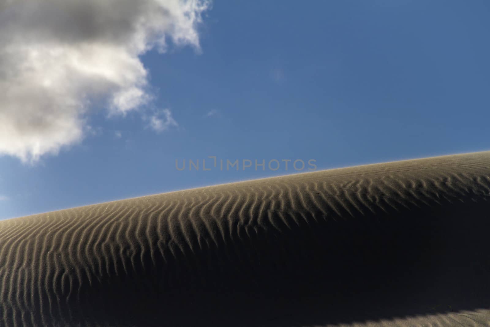 Shadow play on a sand dune with backlight effect and the sun shining in the blue sky with white one cloud