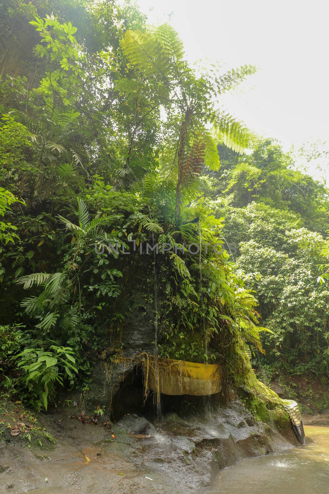 Bridge over river in the balinese jungle, Indonesia.