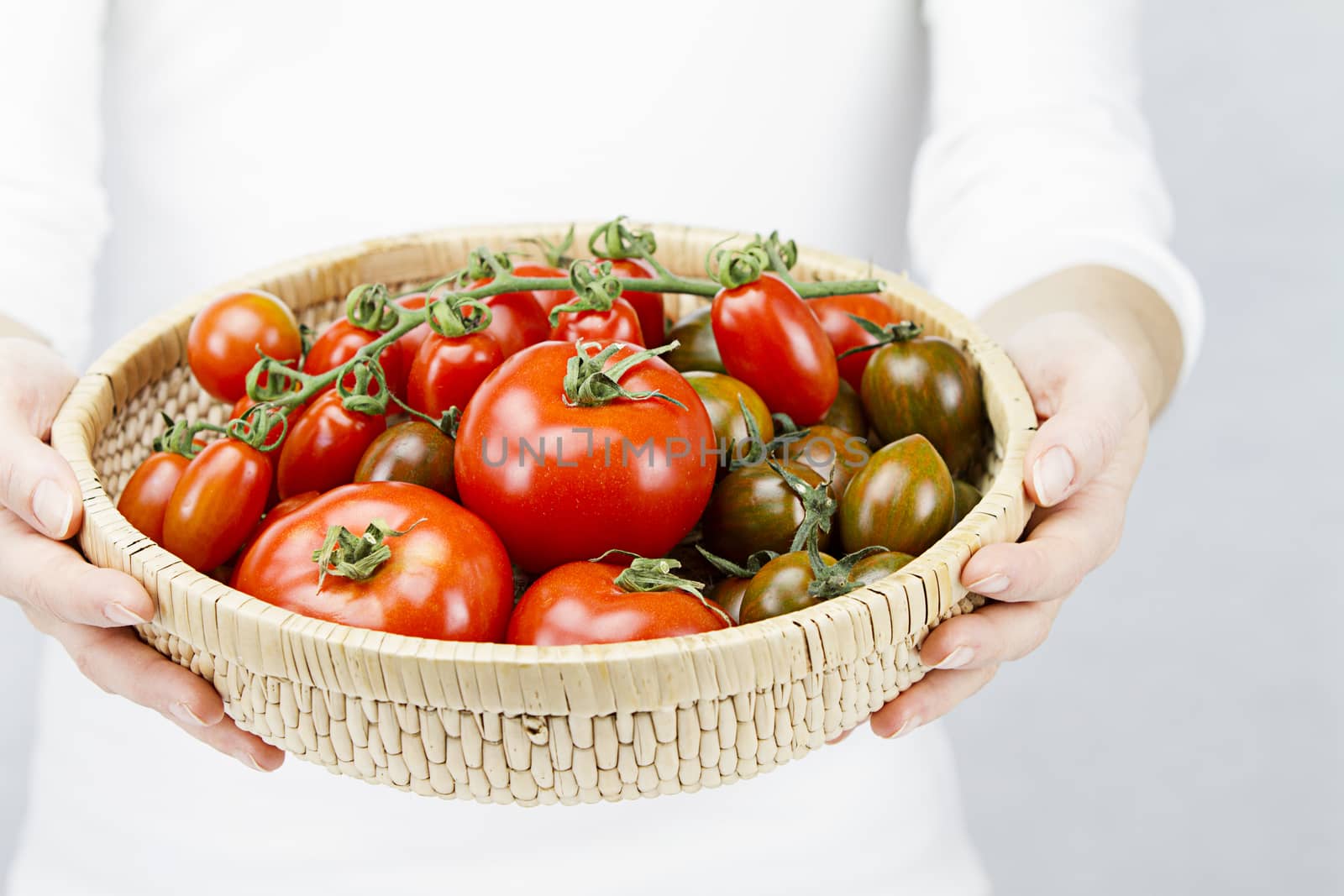 Closeup of a basket full of ripe tomatoes of various breeds held by a young woman