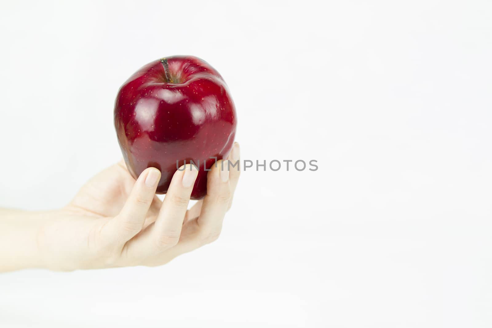 Hand of a young woman holding a red apple like the one offered by the witch to Snow White on white background