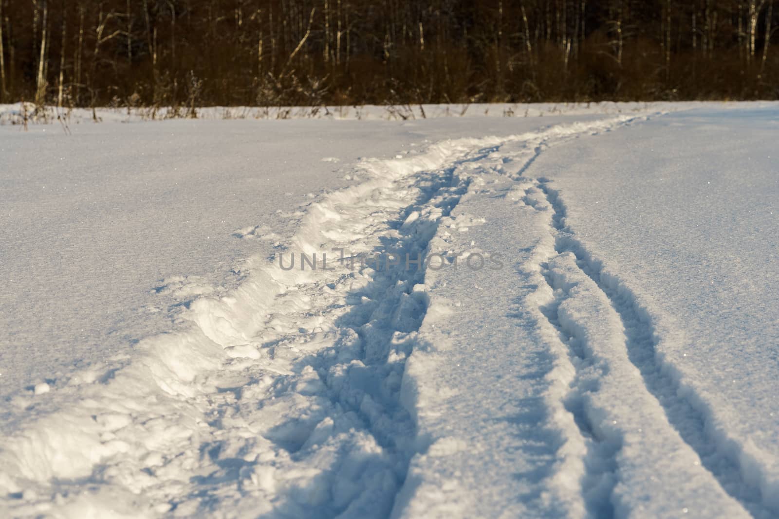 Path in a snowy field, rural winter landscape