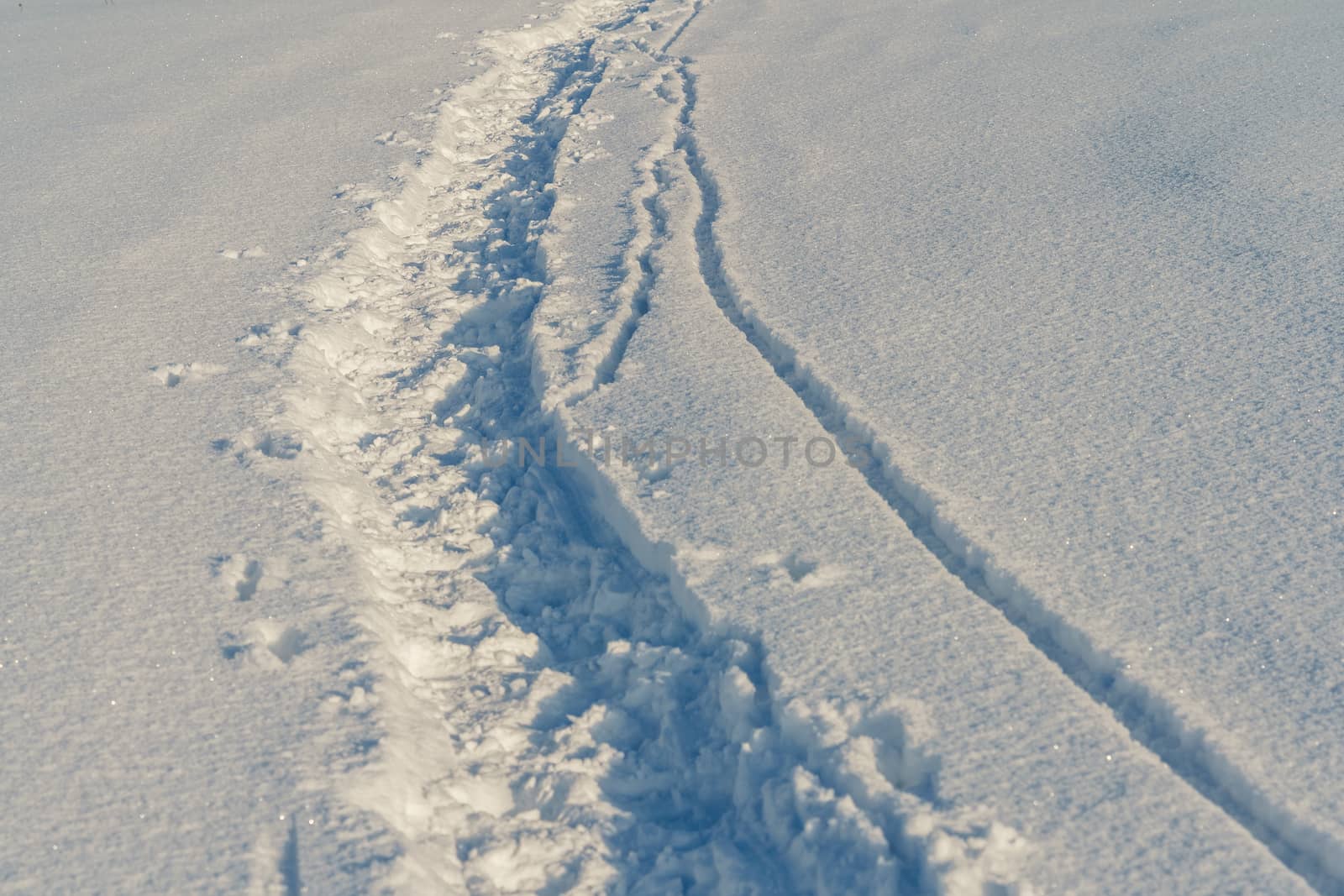 Path in a snowy field, rural landscape by VADIM