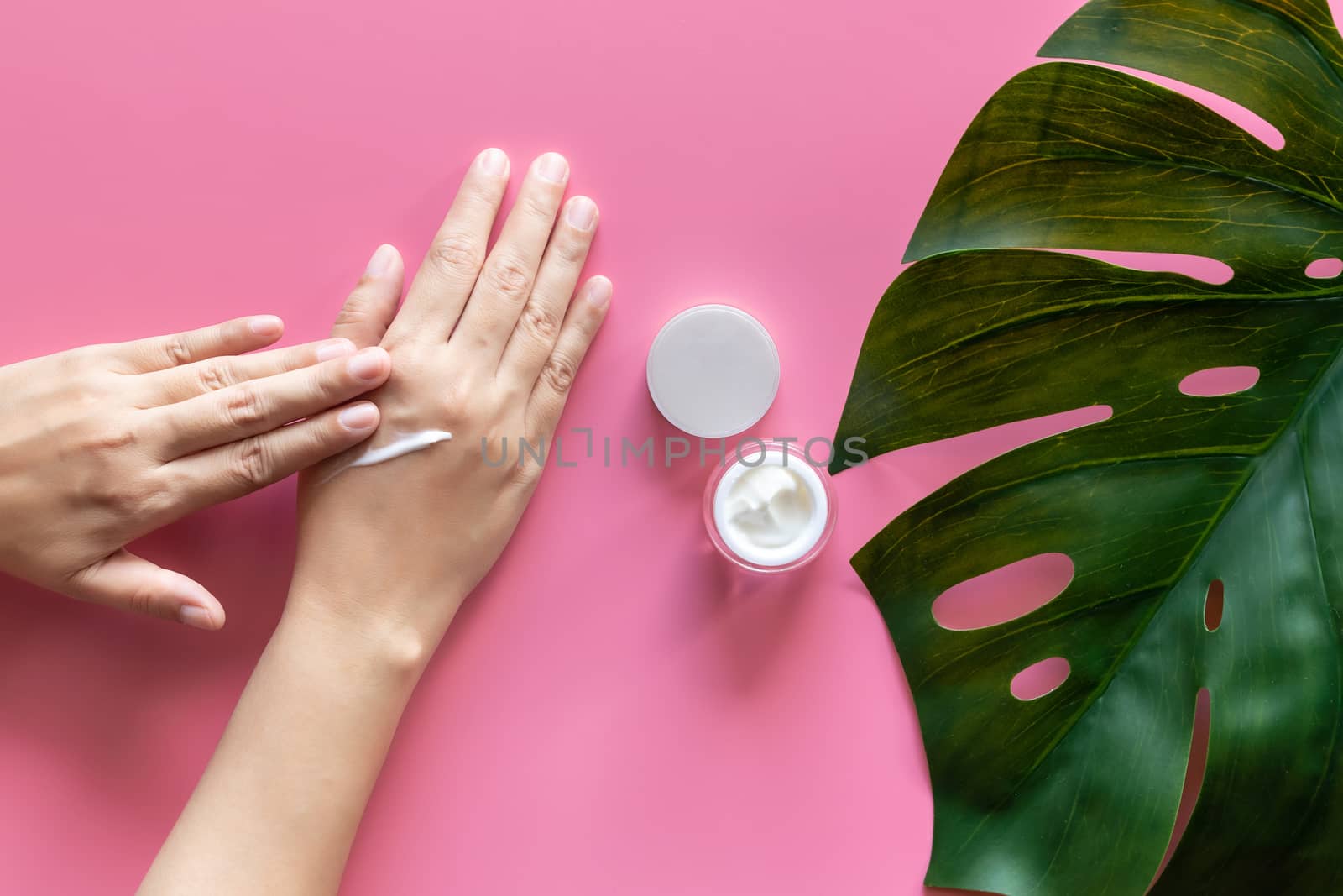 natural skincare concept. woman apply white cream on her hands on pink background with jar of cosmetic cream decorate with fresh green leave with copy space by asiandelight