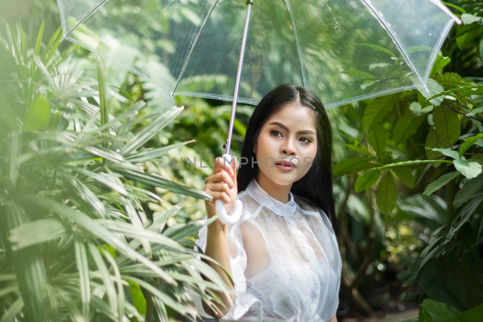 Asian woman holding transparent plastic umbrella in rainy day during stay outdoor at tropical forest with green leaf by asiandelight