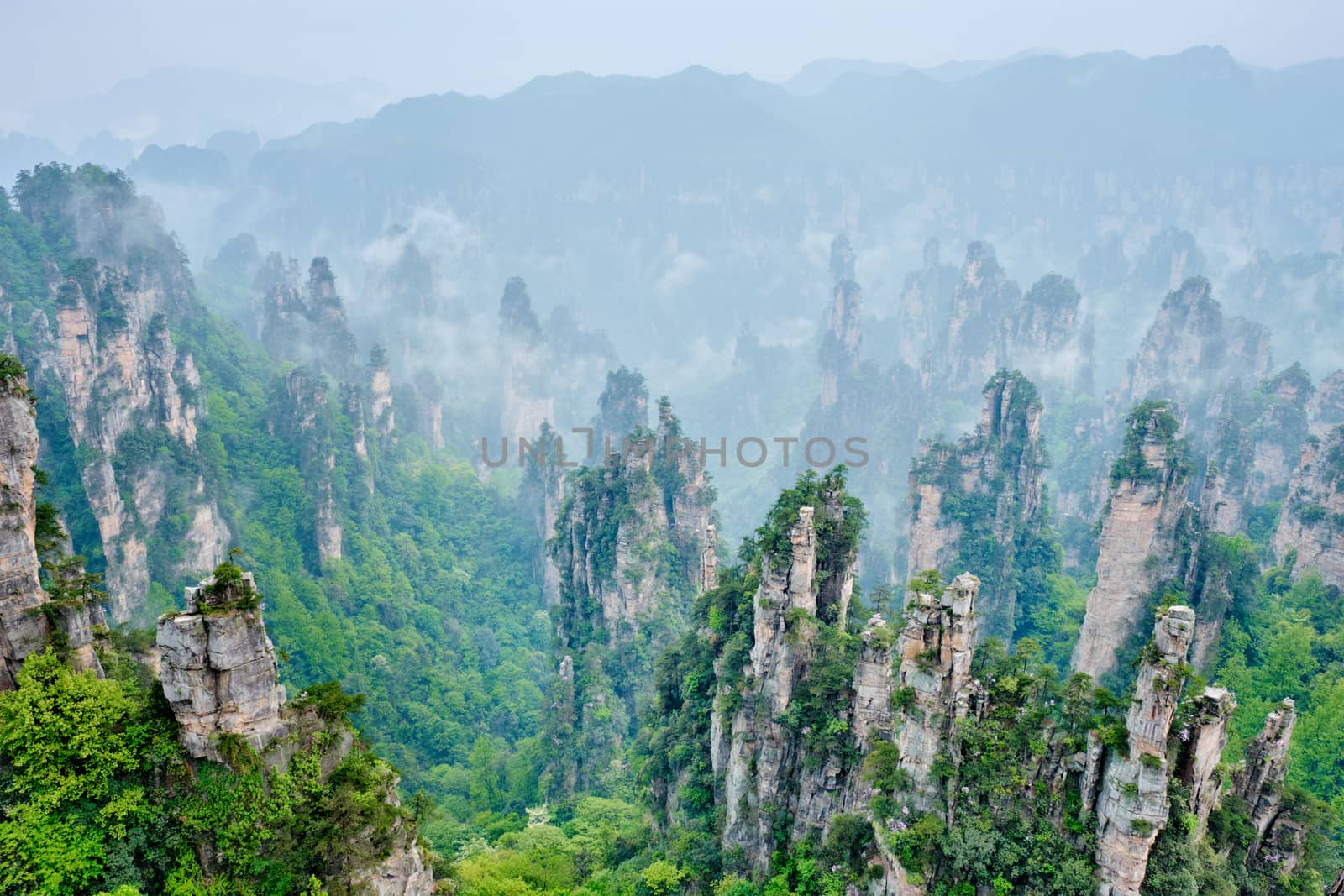 Famous tourist attraction of China - Zhangjiajie stone pillars cliff mountains in fog clouds at Wulingyuan, Hunan, China