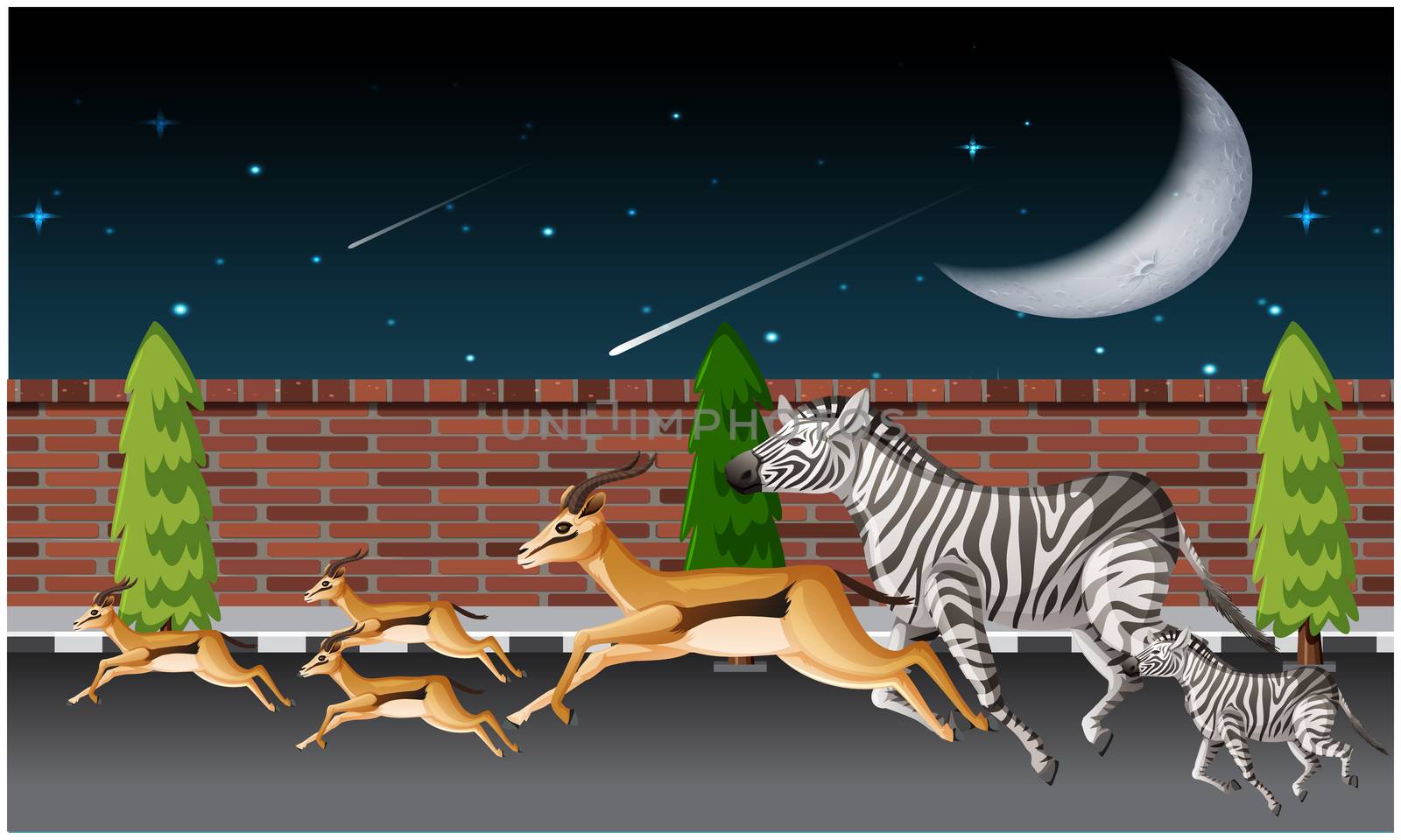 several animals are running on road in night