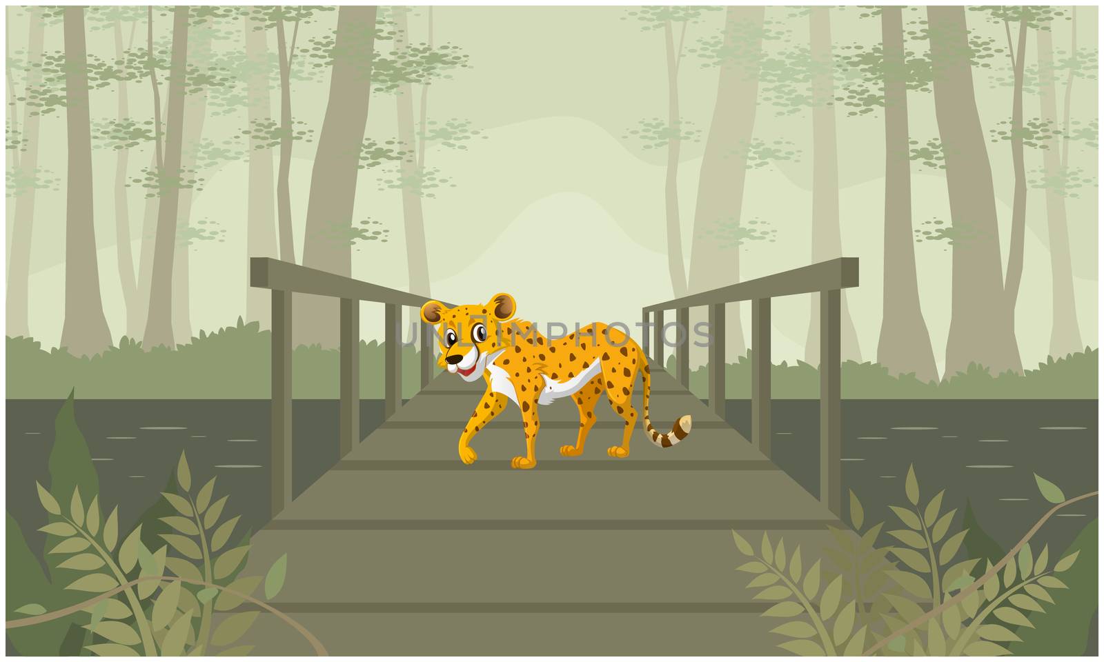 tiger is walking on a wooden bridge in the forest