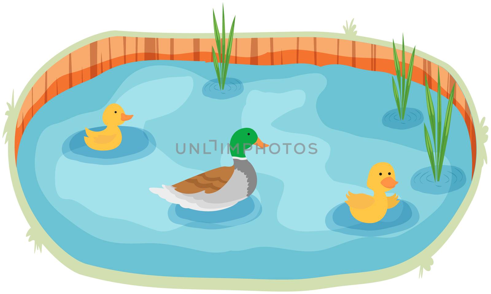 aquatic animals are floating in a river by aanavcreationsplus