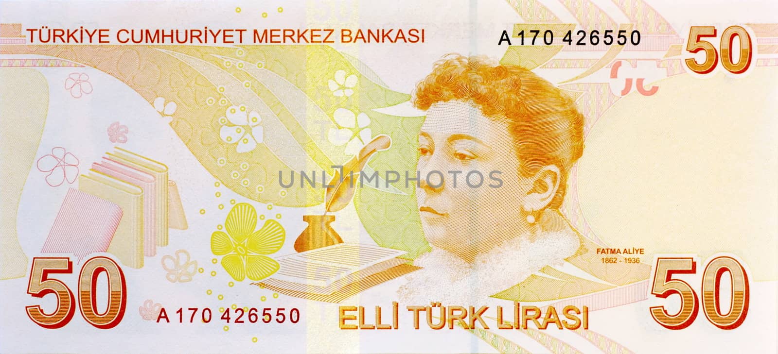 50 Lira banknote back