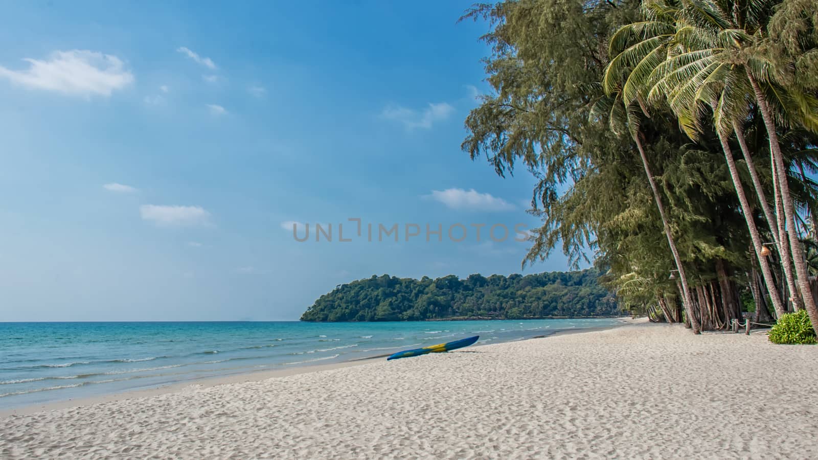 landscape of nice tropical beach with coconut palms tree. holiday and summer vacation concept. by asiandelight