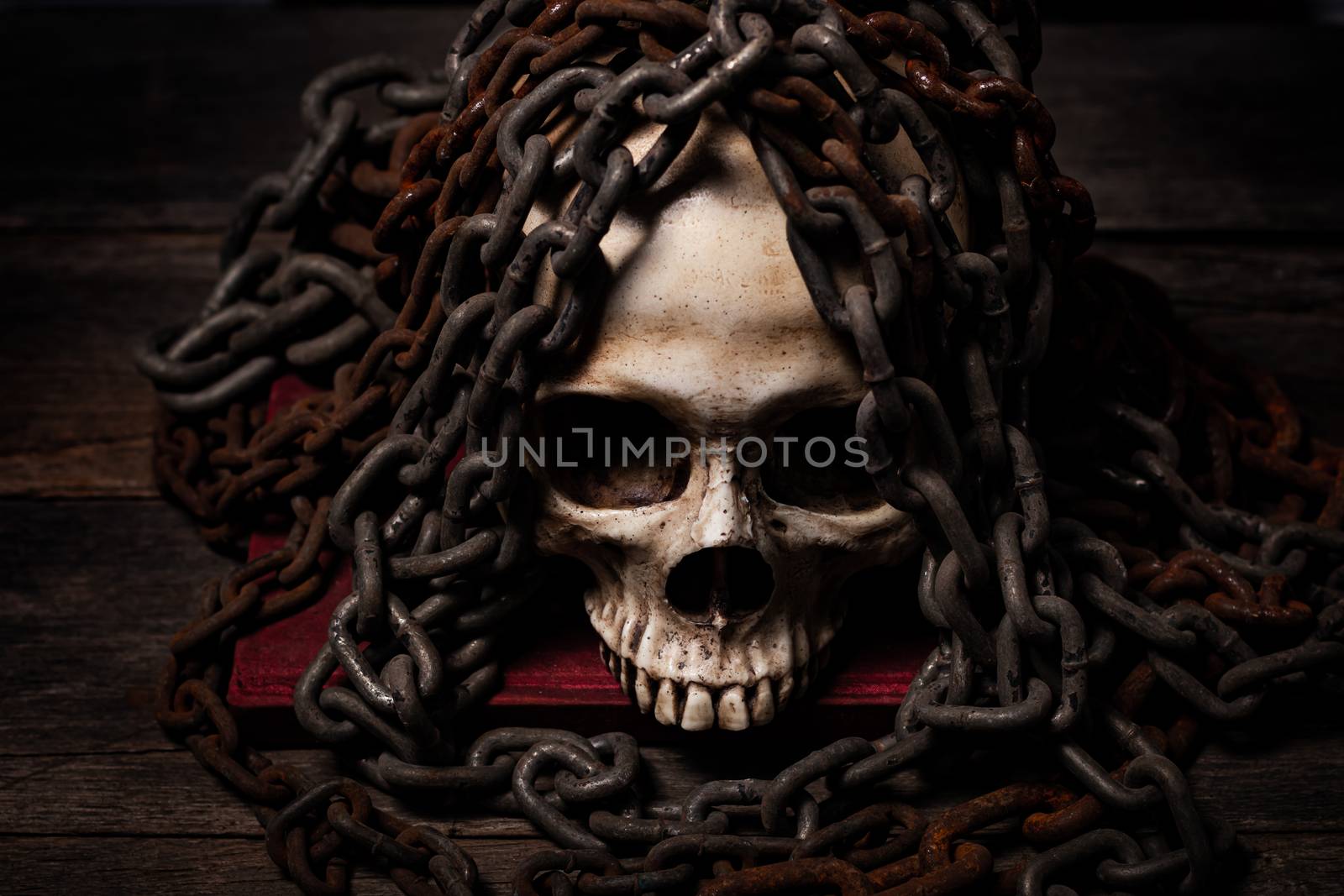Still life of human skull that died for a long times ,concept of by photosam