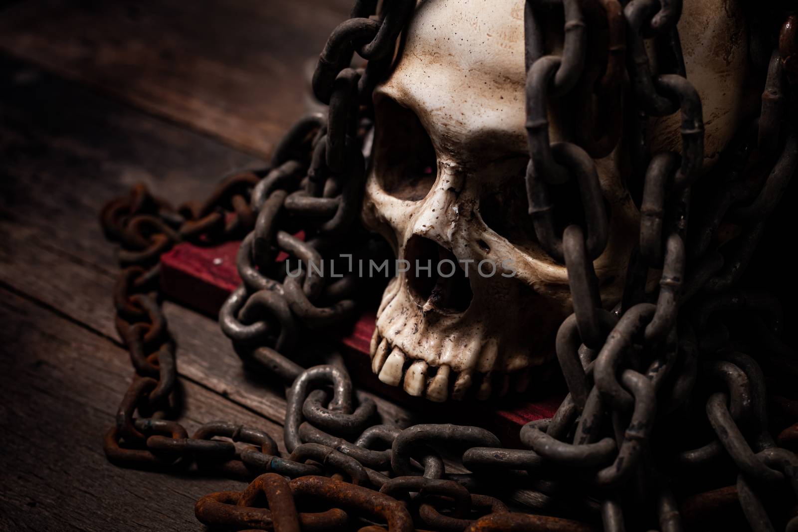 Still life of human skull that died for a long times ,concept of by photosam