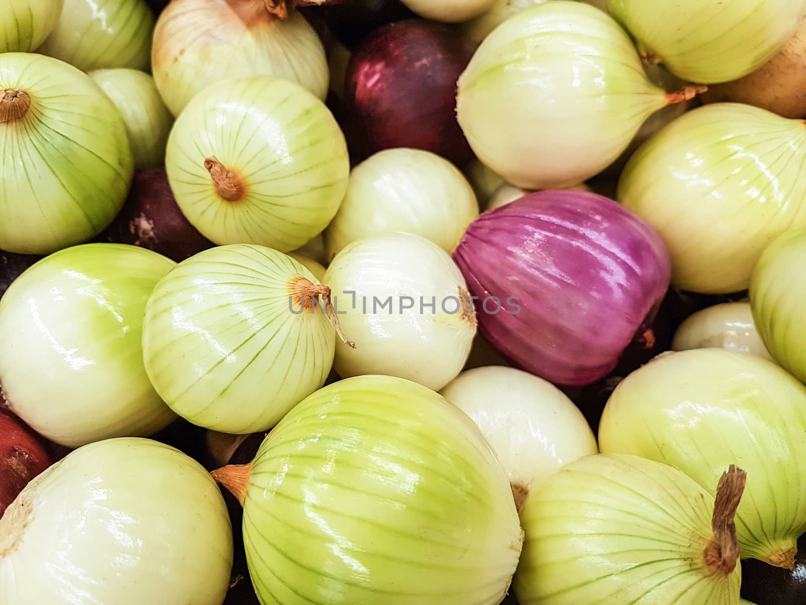 Close-up of a fresh raw onions for sale as an agricultural background or texture.