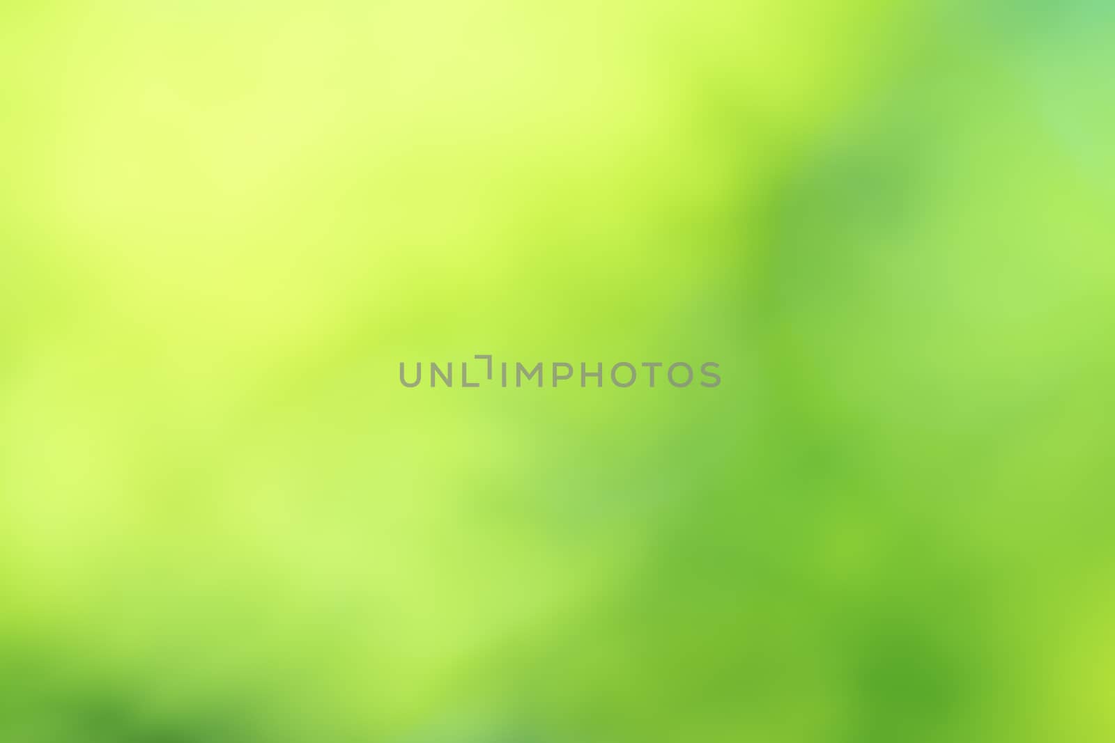 Green blurred background abstract light gradient bokeh natural  by photosam