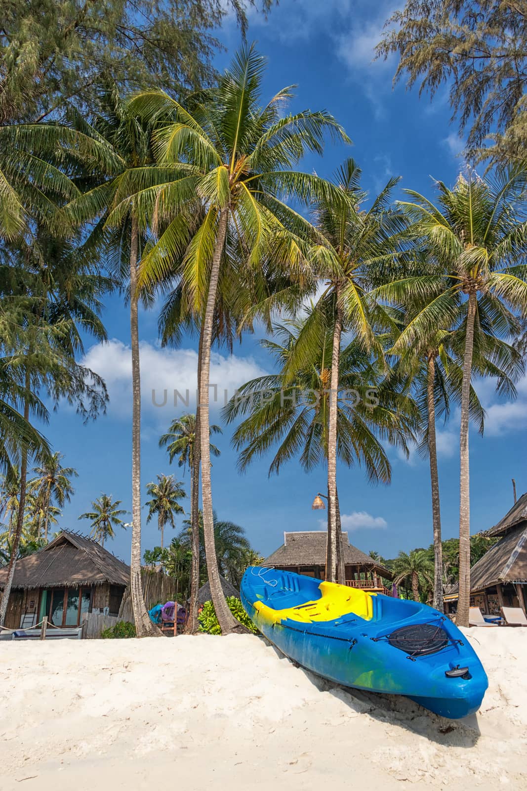 summer vacation with activity on tropical beach concept. colorful kayak boat on white sand beach with coconut palm tree at background.