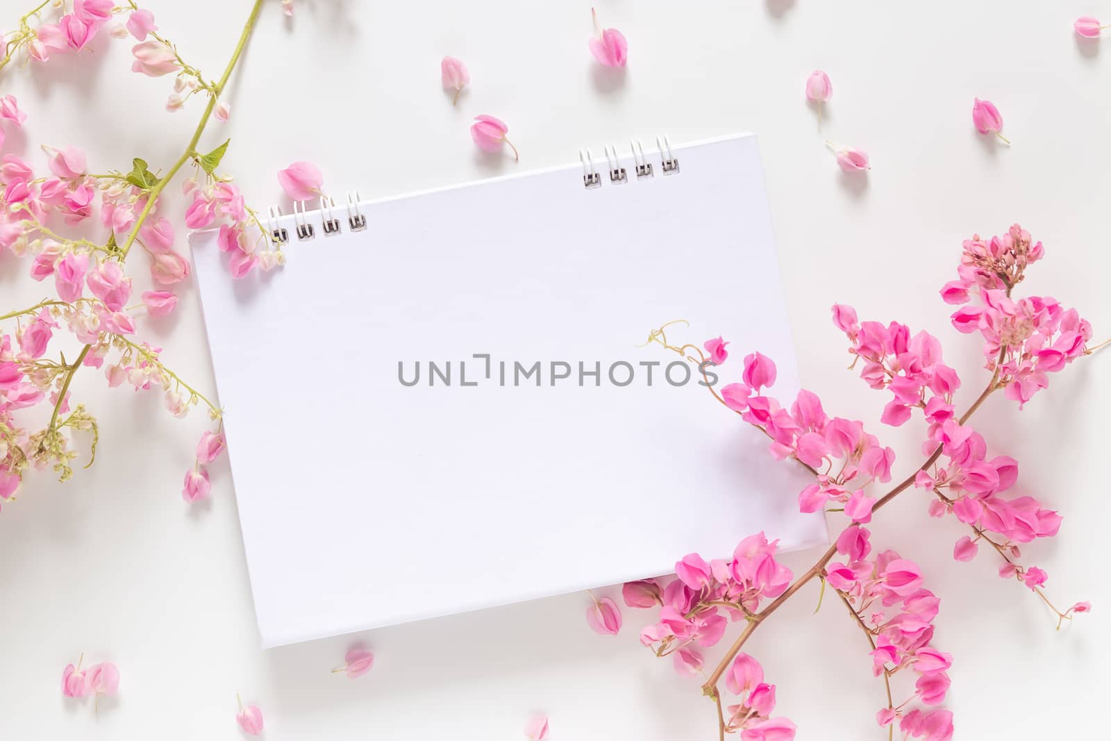 flat lay of white blank calendar with copy space decorate with pink flower isolated on white background