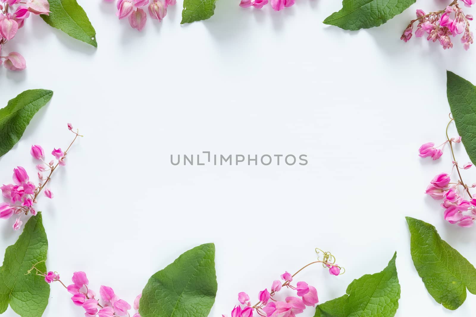 pink flowers frame with green leave on white background with copy space for greeting message. flat lay, top view, copy space
